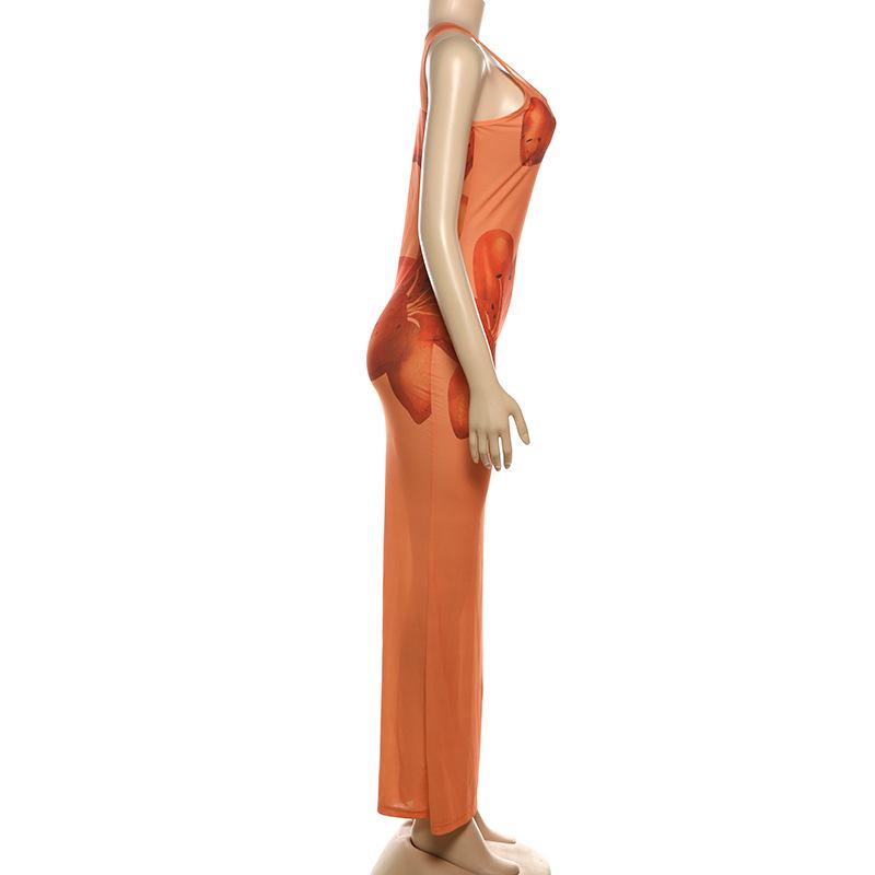 Robe longue transparente à imprimé floral et col en U irrégulier 