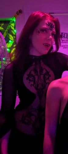 Halibuy Fashion review - Mesh Crewneck Long Sleeve See Through Embroidery Mini Dress