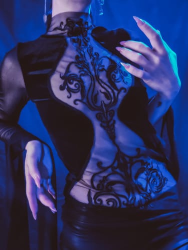 Halibuy Fashion review - Mesh Crewneck Long Sleeve See Through Embroidery Mini Dress