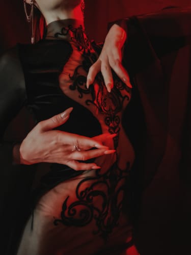 Halibuy Fashion review - Mesh Crewneck Long Sleeve See Through Embroidery Mini Dress