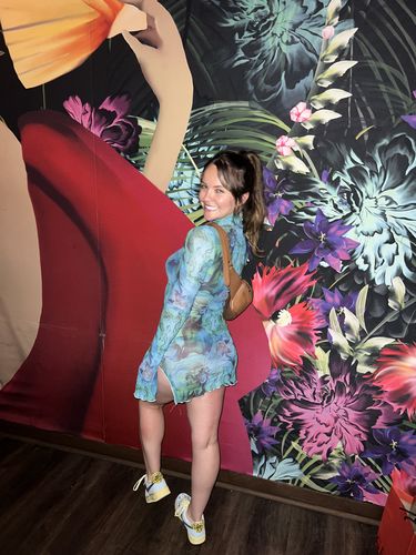 Halibuy Fashion review - Sheer Mesh See Through Print High Neck Slit Long Sleeve Mini Dress