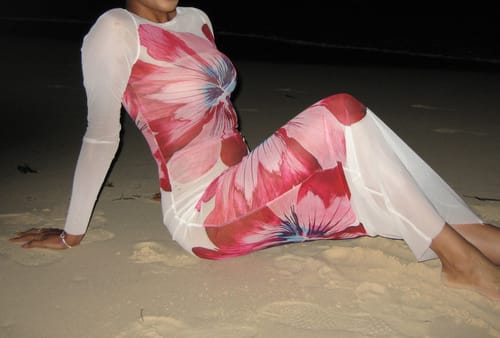 Halibuy Fashion review - Long Sleeve Crewneck Mesh Flower Print Maxi Dress