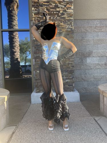 Halibuy Fashion review - Metallic V Neck Zip Up Low Cut Backless Corset Tube Top