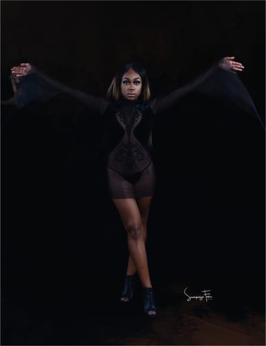 Halibuy Fashion review - Mesh Crewneck Long Sleeve See Through Embroidery Mini Dress